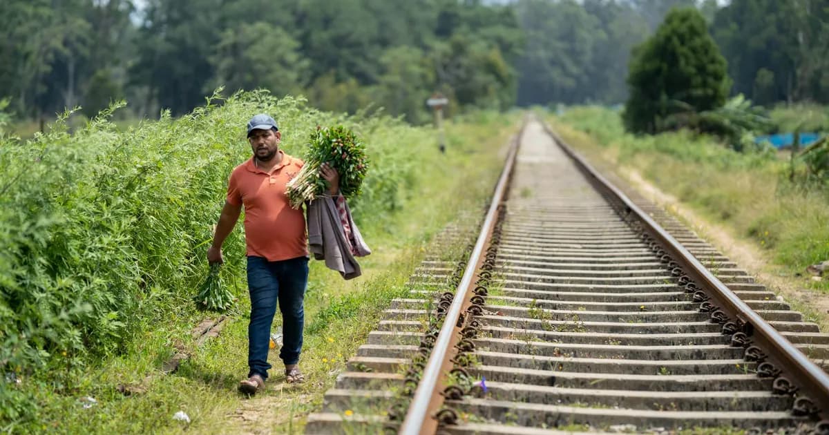 I Planned Cherry Blossom Tours Here s Only One It travel landscape
